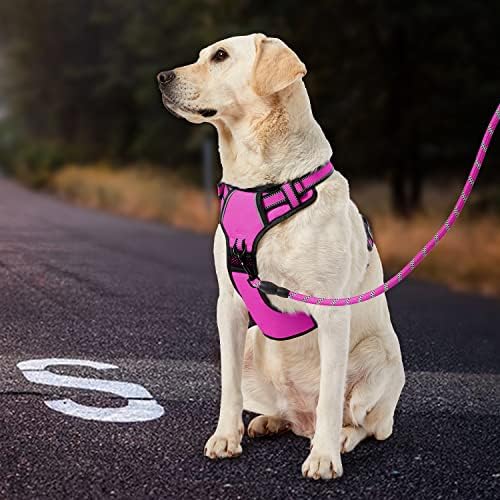 IVY&LANE No Pull Dog Harness for Medium Dogs, Reflective Dog Vest Harness - Image 6