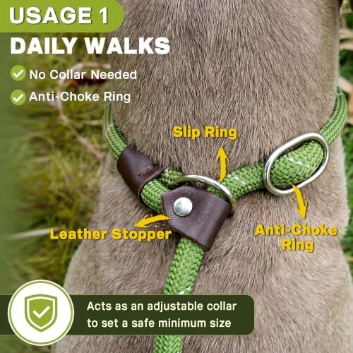 Fida Durable Slip Lead Dog Leash, 6 FT x 3/8" Dog Training Leash - Image 4