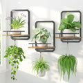 LASZOLA Plant Picture Frame Holder Shelf Wall Window Indoor by LASZOLA