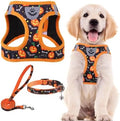 PUPTECK Halloween Dog Harness, Collar and Leash Set No Pull by PUPTECK