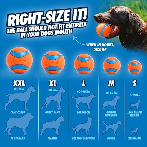 Chuckit! Ultra Ball Dog Toy, Durable Rubber, Medium 2.5in, 4 Pack - Image 3