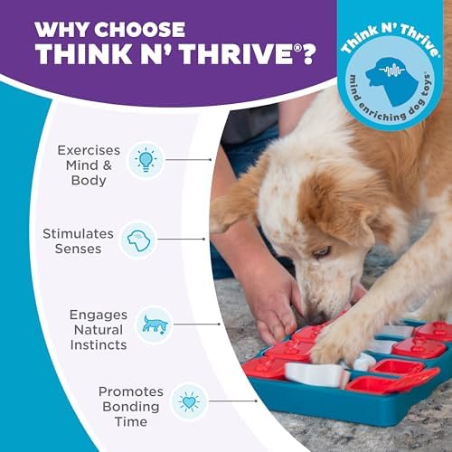 Outward Hound Nina Ottosson Dog Brick Dog Toy Treat Puzzle - Image 6