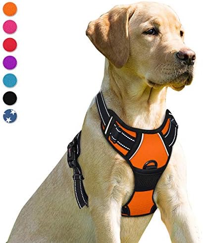 BARKBAY Dog Harness No Pull for Small Sized Dog Front Back Clips, Dog Vest by BARKBAY