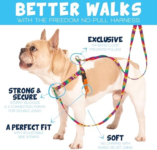 2 Hounds Design Freedom No Pull Dog Harness and Leash, 5/8" MD, Hot Pink - Image 2
