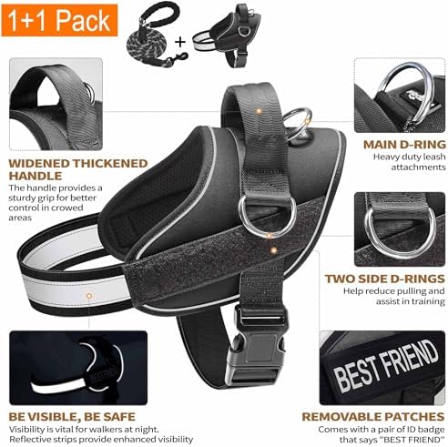 Haapaw Essential Dog Harness, No Pull Pet Vest - Image 2