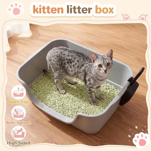 Bokon 2 Pack Small Cat Low Entry Litter Box, Kitty Litter Pan - Image 2
