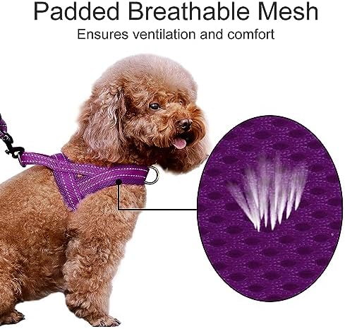 Plutus Pet No Pull Dog Harness for Medium Sized Dog, Breathable Mesh Padded - Image 3