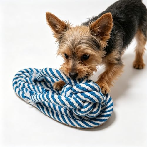 Dog Toys Puppy Teething Chew Pet Cat Toy Rabbit Toys Healthy Gift - Image 2