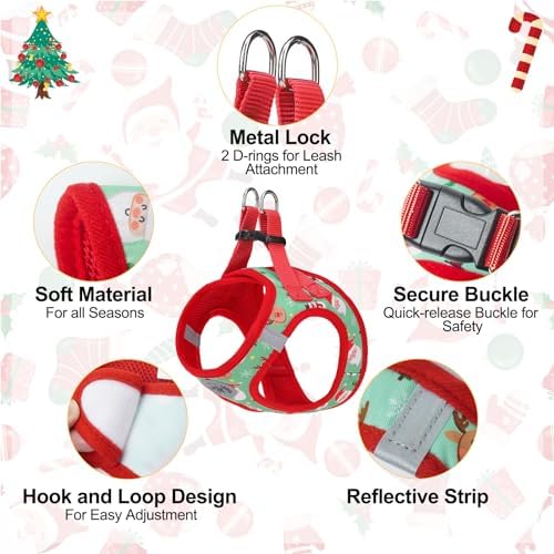 BEAUTYZOO Step in Dog Harness and Leash Set, Reflective Dog Harness No Pull No - Image 3