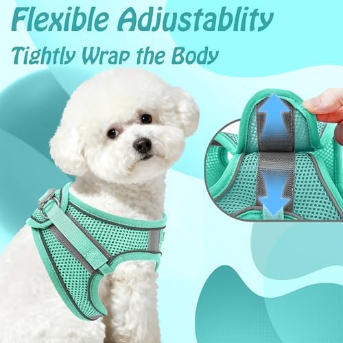 AIITLE Dog Harness and Leash Set, Step-in Puppy Pet Vest, Pure Turquoise L - Image 3