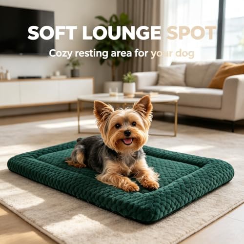 Dog Bed Mat - Durable & Cute Crate Dog Beds - Image 2