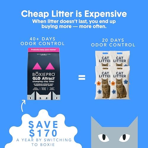 Boxie Glo Attract Clumping Cat Litter 40+ Day Odor Control Dust Free 16 lb - Image 3