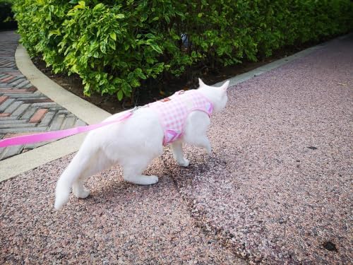 Cat Harness and Leash Set Escape Proof - Image 6