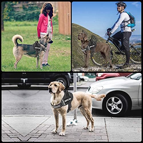 JSXD Dog Harness, No-Pull Service Dog Harness - Image 5