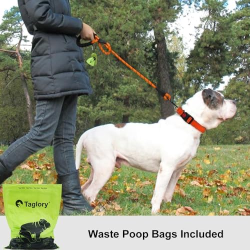 Taglory Rope Dog Leash for Medium Large Dogs, 6 FT Padded Handle - Image 2