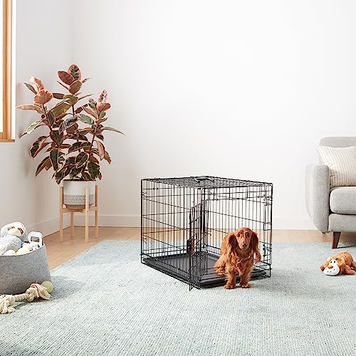 Amazon Basics Portable, Foldable Metal Wire Dog Crate - Image 5