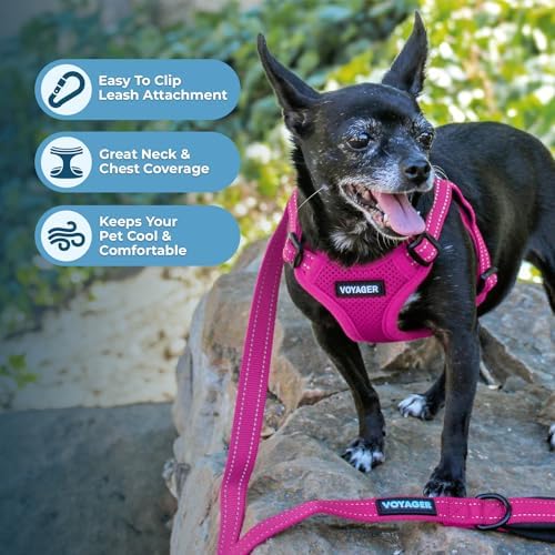 Voyager Step-in Flex Adjustable Dog Harness - Image 5