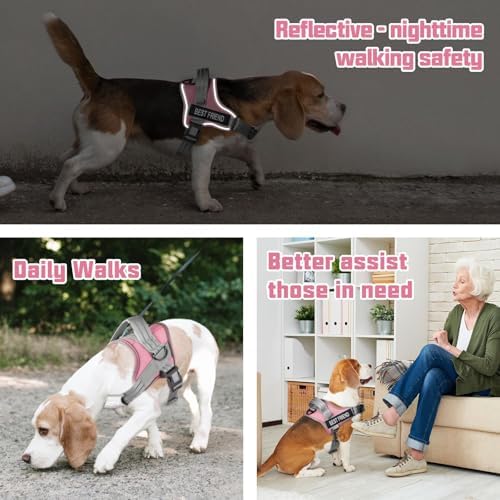 AUROTH Dog Harness and Leash Set - Image 4