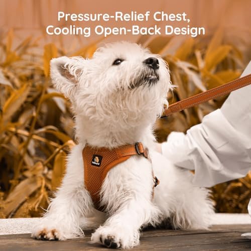 BELLA & PAL Adjustable Step-in Dog Harness, Puppy No-Pull Vest - Image 6