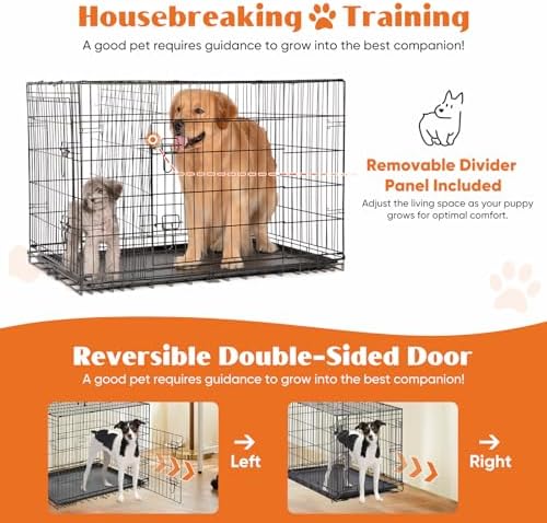 Sweetcrispy 48 Inch Dog Crate, Medium Large Dog Cage, Foldable Pet Kennel - Image 4