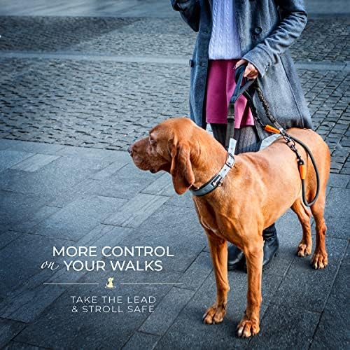 SparklyPets Heavy Duty Bungee Rope Leash - Image 6