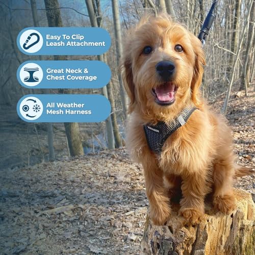 Best Pet Supplies Voyager Step-in Air Harness - Image 2