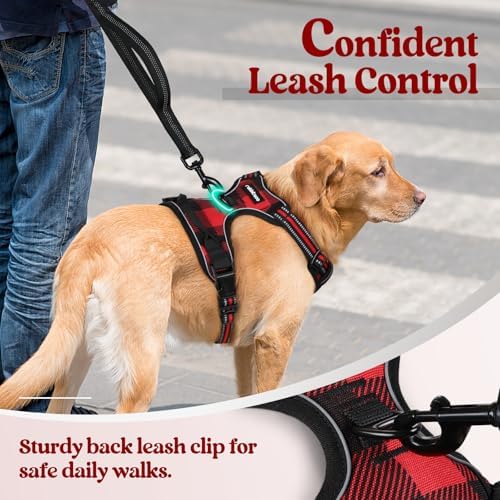 rabbitgoo Dog Harness, No Pull for Large Dogs - Image 6