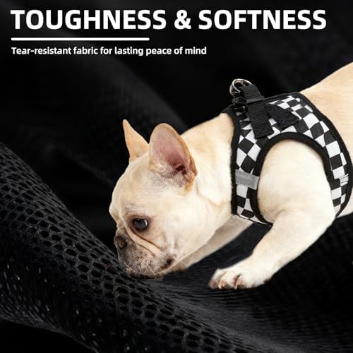PUPTECK Dog Harness, Collar and Leash Set No Pull - Image 6
