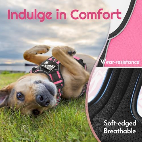 Eagloo Dog Harness No Pull for Large Dogs, Easy On & Off - Image 6