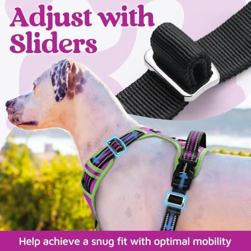 rabbitgoo Dog Harness for Large, No Pull 3 Buckles Easy On & Off - Image 5