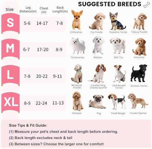 Pet Front Carrier for Small Dogs & Cats, Breathable Legs-Out Riding Carrier for - Image 3