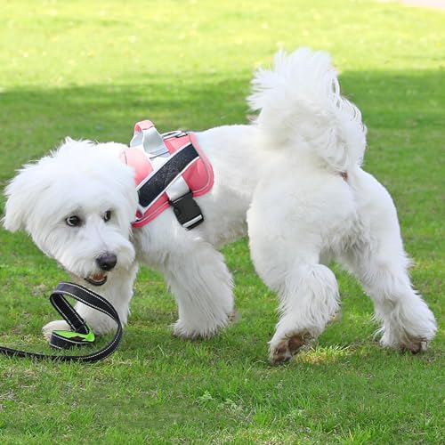 Bolux Dog Harness, No-Pull Reflective Dog Vest, Breathable Adjustable Pet - Image 5