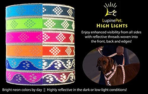Lupine Reflective Step in Dog Harness 3/4" Wide Blue Paws - Image 2