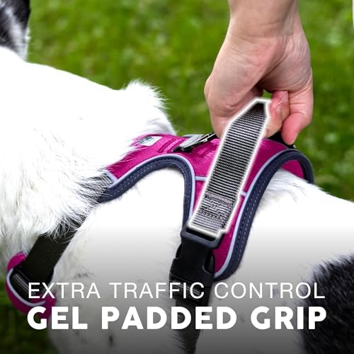 Embark No Pull Dog Harness, Reflective Adjustable Training Vest, No Choke - Image 6