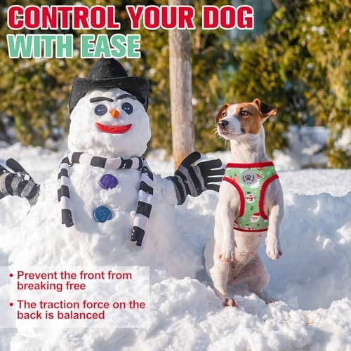 BEAUTYZOO Step in Dog Harness and Leash Set, Reflective Dog Harness No Pull No - Image 4