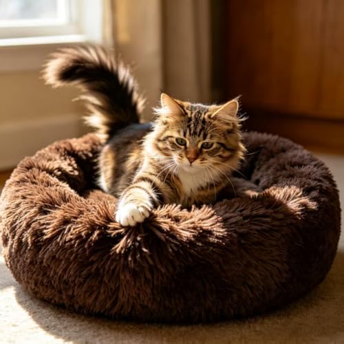 Cat Beds for Indoor Cats - Image 2