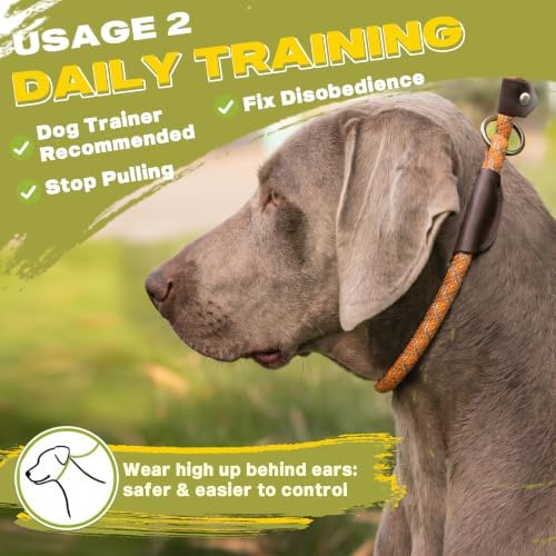 Fida Durable Slip Lead Dog Leash, 6 FT x 1/2" Dog Training Leash - Image 5