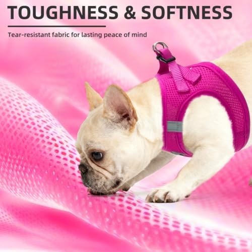 PUPTECK Dog Harness, Collar and Leash Set No Pull - Image 6