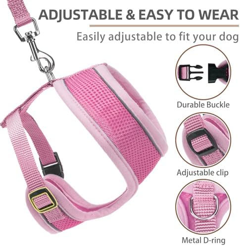 PUPTECK Small Dog Harness and Leash Set No Pull - Image 3
