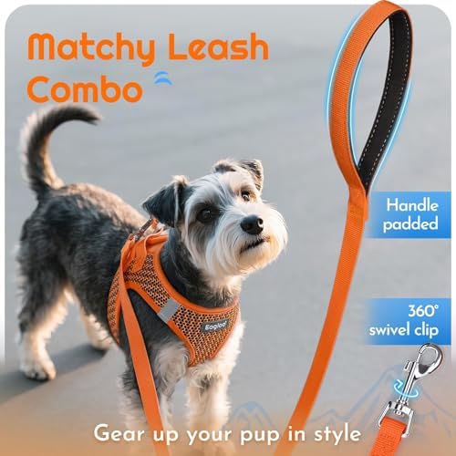 Eagloo Small Dog Harness and Leash Set, Step in Medium Small Puppy Pet Vest - Image 6