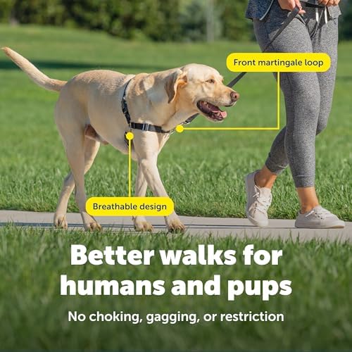 PetSafe Easy Walk Harness, No Pull Dog Harness, Royal Blue - Image 4