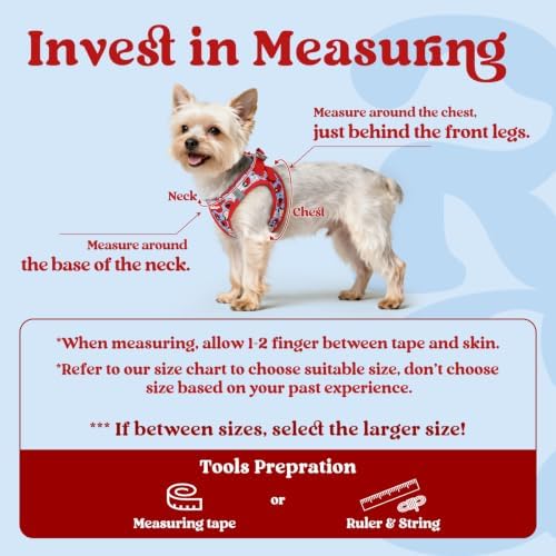 rabbitgoo Step-in Small Dog Harness, Puppy Vest - Image 2