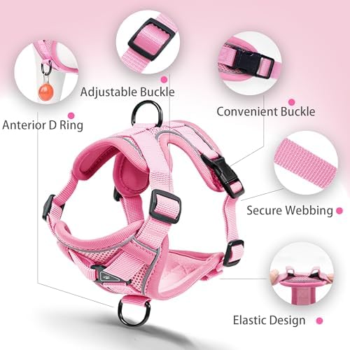 Dog Harness Small Sized Dog Pet Vest - Image 3