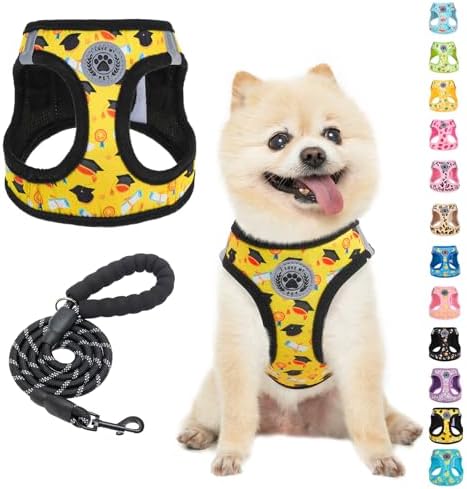 BEAUTYZOO Small Dog Harness and Leash Set, No Pull Puppy Pet Vest- S by BEAUTYZOO