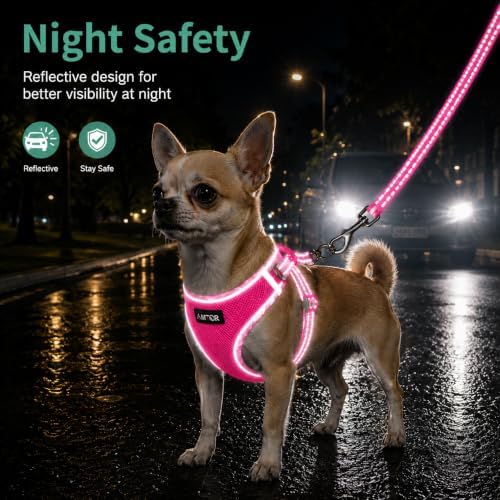 AMTOR Small Dog Harness with Leash Set, No Escape Easy Walk Puppy Harnesses - Image 5