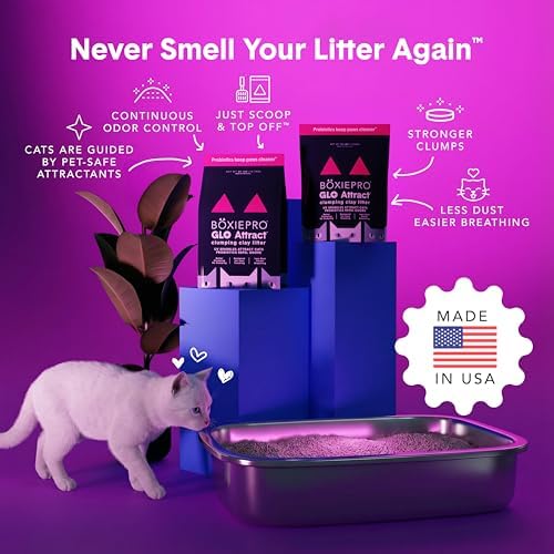 Boxie Glo Attract Clumping Cat Litter 40+ Day Odor Control Dust Free 28 lb - Image 4