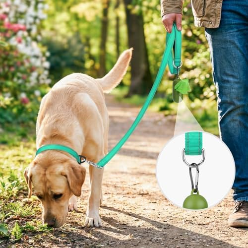 Joytale Reflective Dog Leash for Small Dogs, 5 FT x 3/4" - Image 2