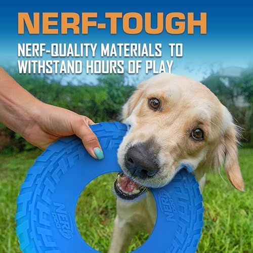 Nerf Dog Tire Flyer Outdoor Dog Toy, 10 Inch Flying Disc Dog Fetch Toy - Image 5