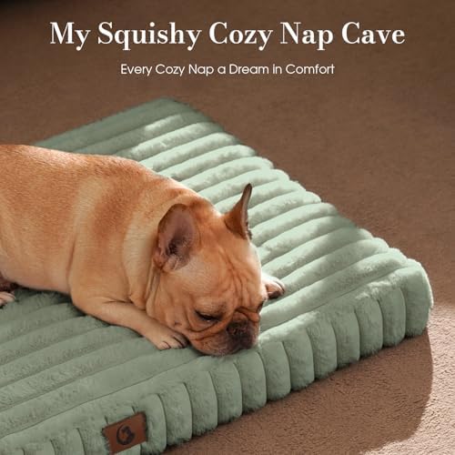 Medium Dog Bed Orthopedic Foam - Image 2