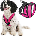 Gooby Comfort X Head-in Dog Harness, Choke-Free, Flamingo Pink by Gooby